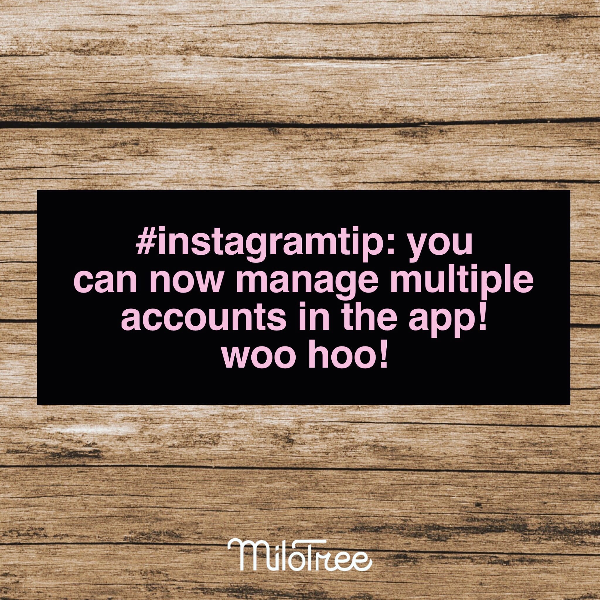 Switch Between Multiple Instagram Accounts In The App