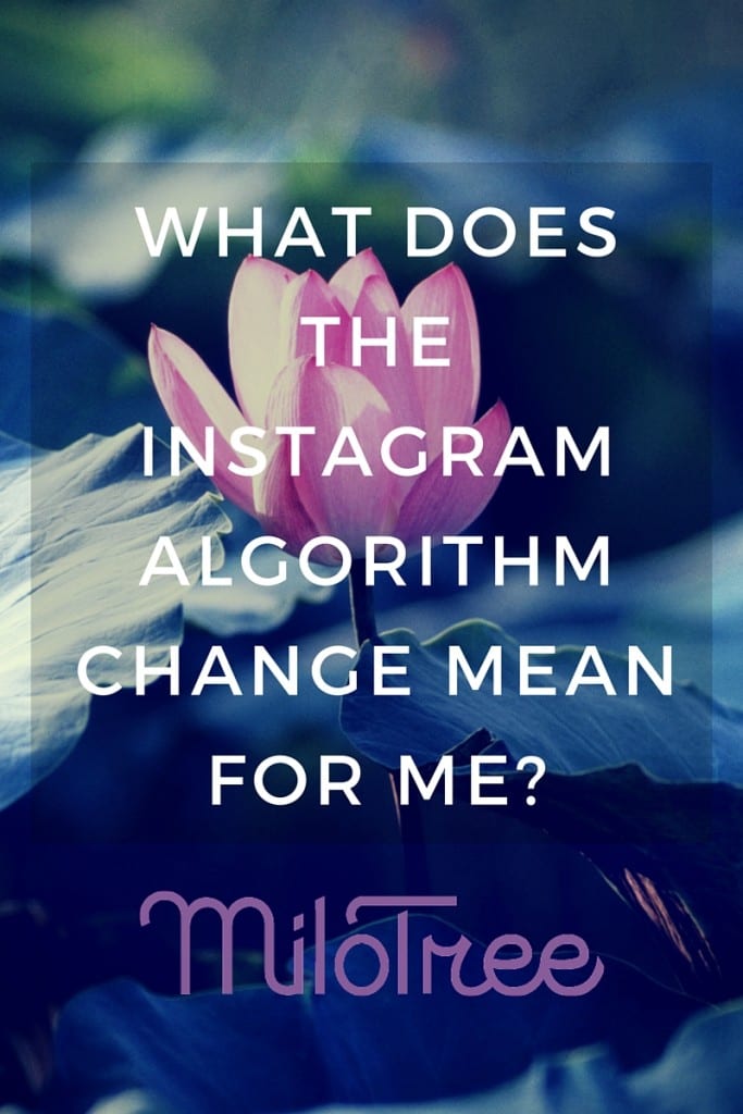 What Does the Instagram Algorithm Mean for Me? | MiloTree.com