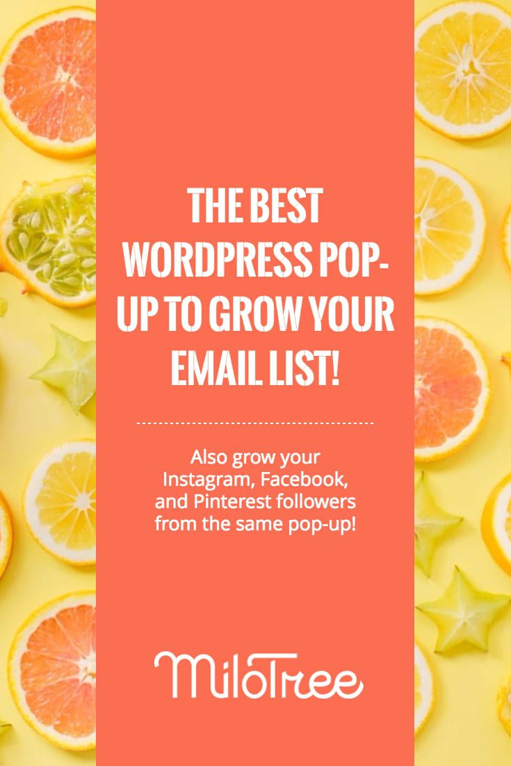 Best WordPress Plugin To Grow Your Email List | MiloTree.com