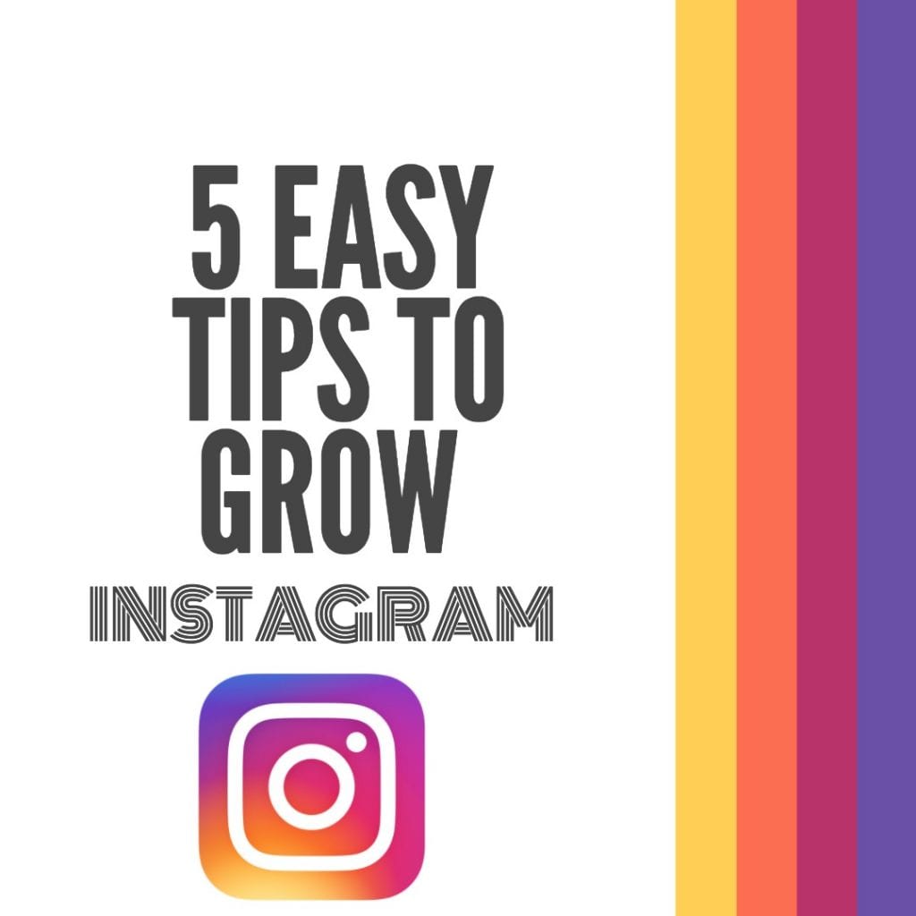 free instagram followers here is how to get more easily milotree com - how to have more followers on instagram for free