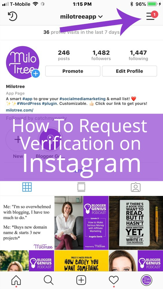 How To Request Verification on Instagram | MiloTree.com