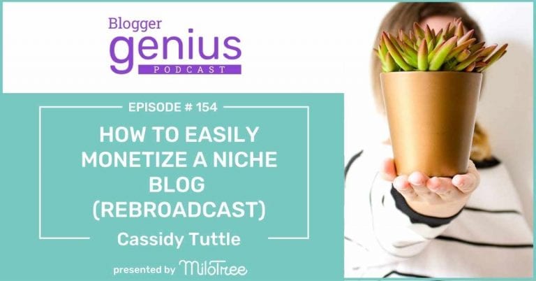 #154: How to Easily Monetize a Niche Blog (Rebroadcast)